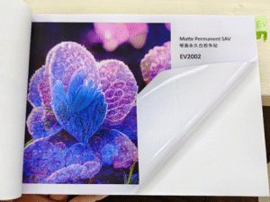 8611d303d9937c8a32188f043a3a565